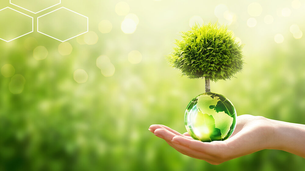 Hand hält eine Kugel, aus der ein Baum ragt